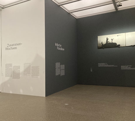 Museumsfolierung - Kuratorischer Text auf einer Museumswand