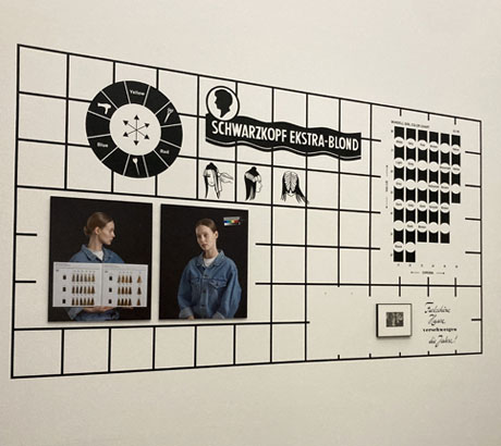 Grafisch gestaltete Wandbeschriftung in einer Ausstellung